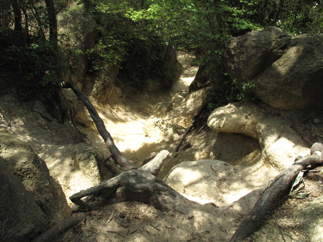 20140602hike (208)